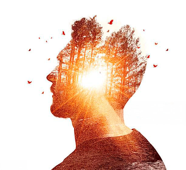 INMAN THERAPY PSICÓLOGO TRANSPERSONAL Y COGNITIVO-CONDUCTUAL ¡Tu mejor versión es mi pasión!